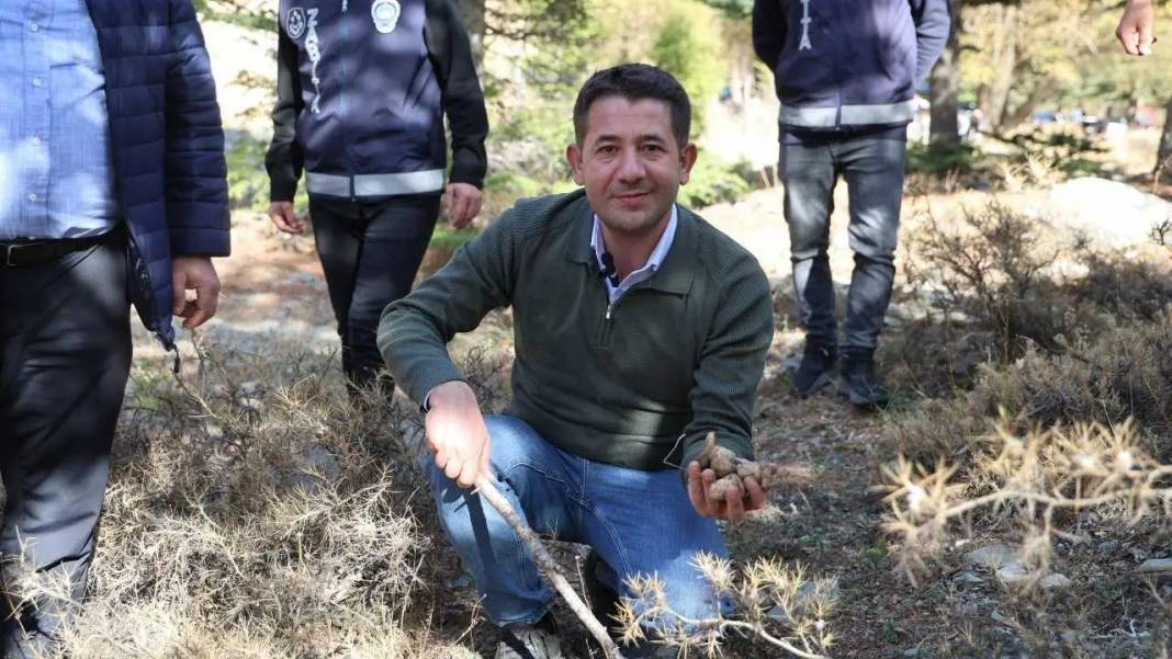 Toroslar’ın Beyaz Altını Japonya Yolcusu: Fiyatı Dudak Uçuklattı! 6